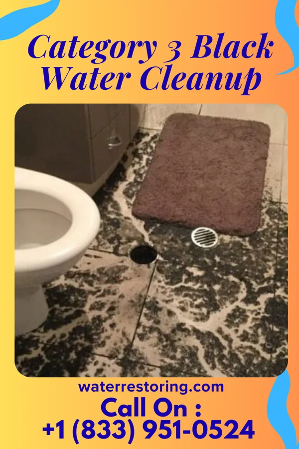 Category 3 Black Water Cleanup in North Branch, MI
