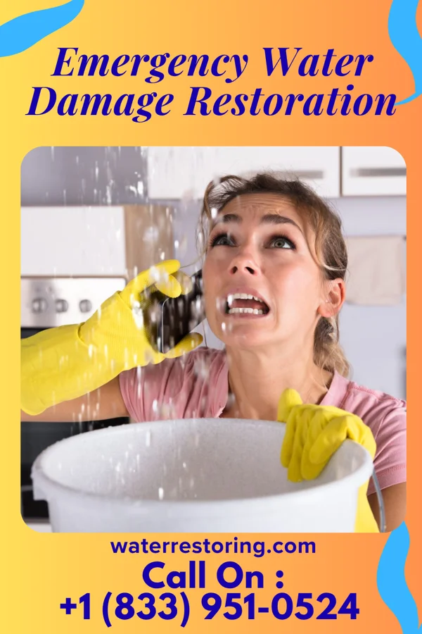 Emergency Water Damage Restoration in North Branch, MI
