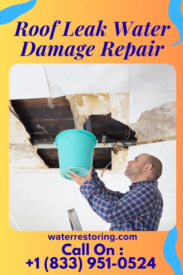 Roof Leak Water Damage Repair in North Branch, MI