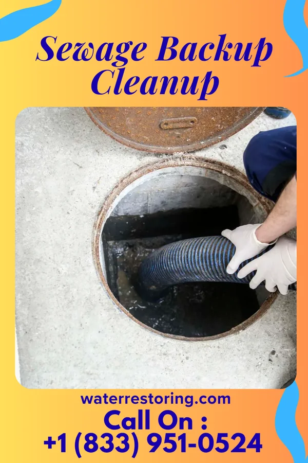 Sewage Backup Cleanup in North Branch, MI